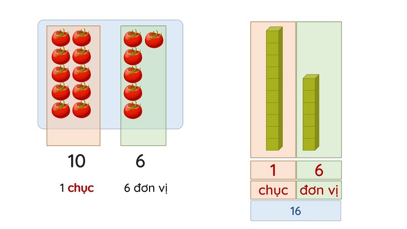 Toàn bộ kiến thức Toán lớp 1 chục và đơn vị